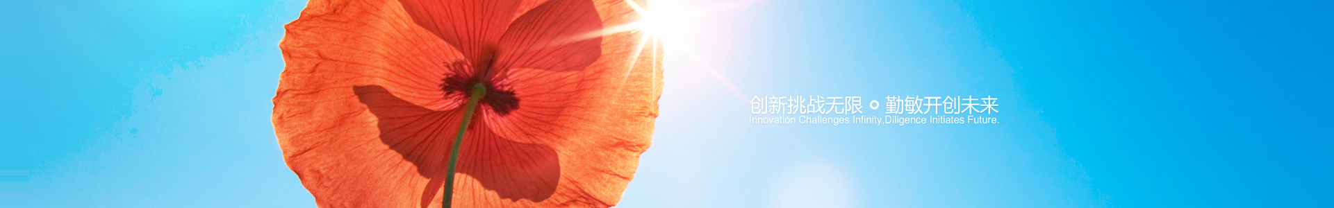 專(zhuān)業(yè)技術(shù)團(tuán)隊(duì)，打造品質(zhì)產(chǎn)品